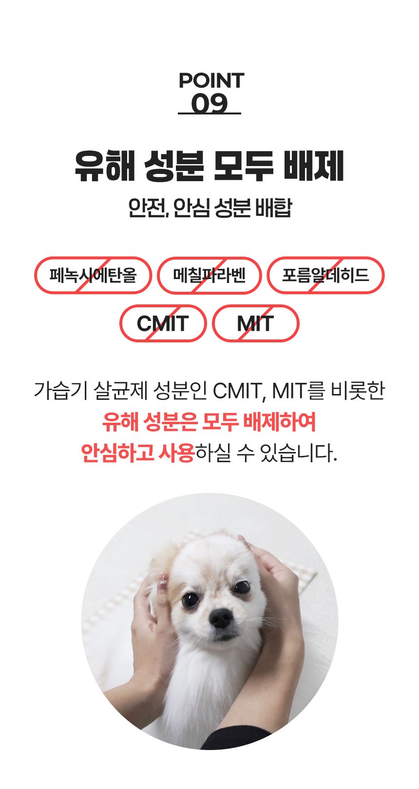 [NEW신상]펫생각 데일리케얼 디탱글 미스트 150ml 19번째