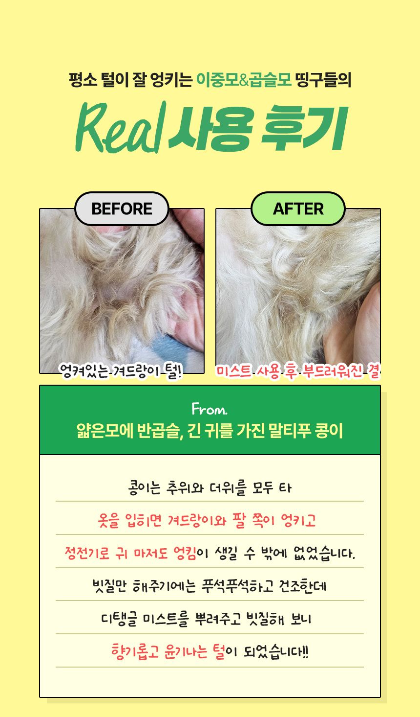 [NEW신상]펫생각 데일리케얼 디탱글 미스트 150ml 5번째