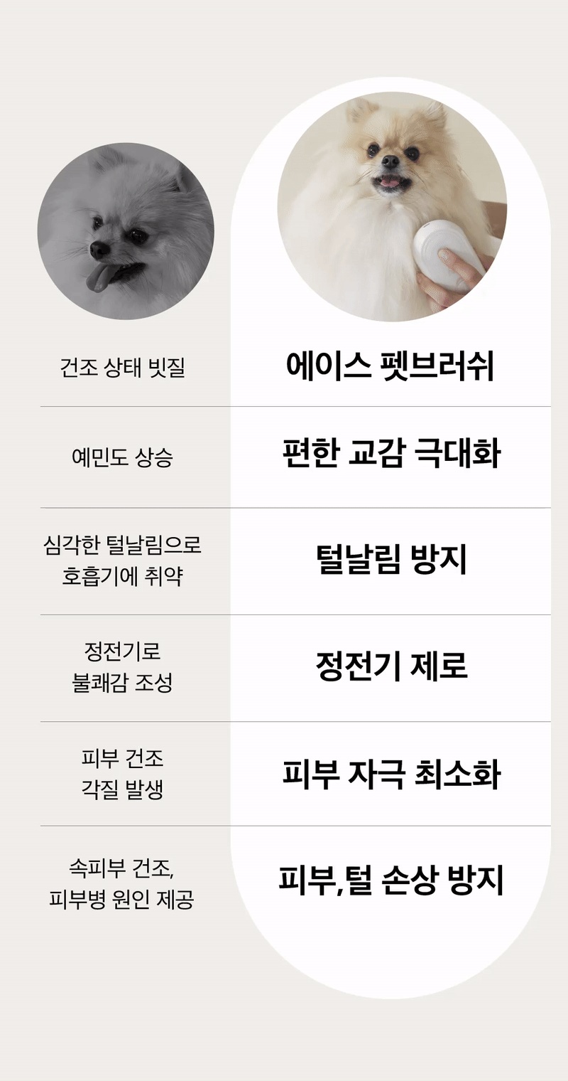 [NEW신상][무료배송] 에이스 미스트 펫 브러쉬 (2타입 브러쉬 포함) 6번째