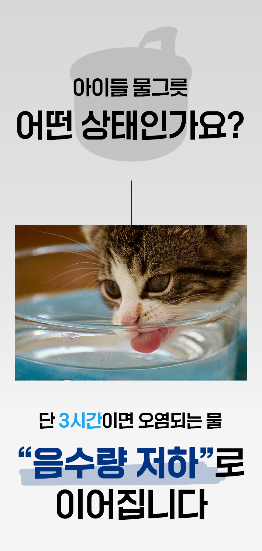 [무료배송] 펫팀 스테인리스 반려동물 정수기 8번째