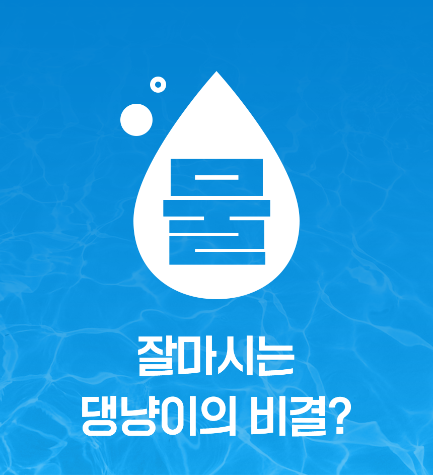 [무료배송] 펫팀 스테인리스 반려동물 정수기 5번째