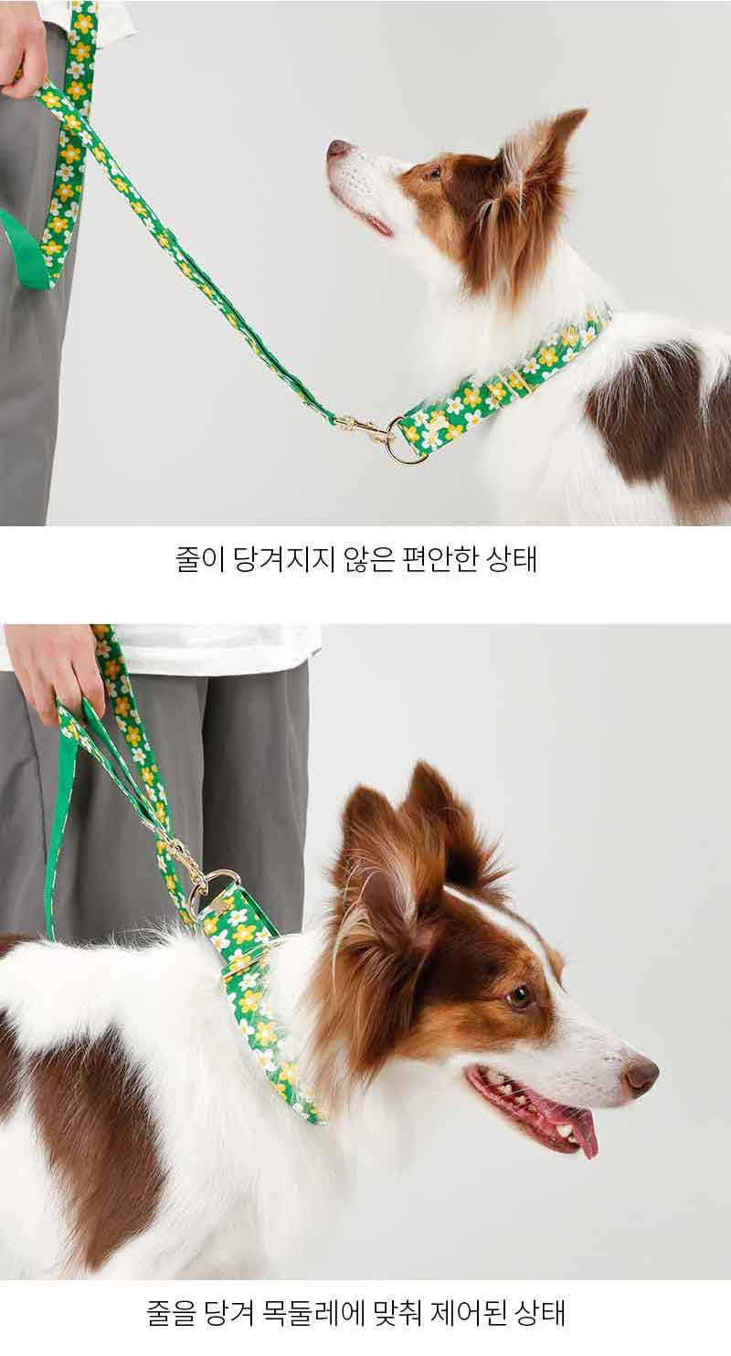 [무료배송] 노라독 하루 마틴게일 목줄 핑크/민트 S-XL 5번째