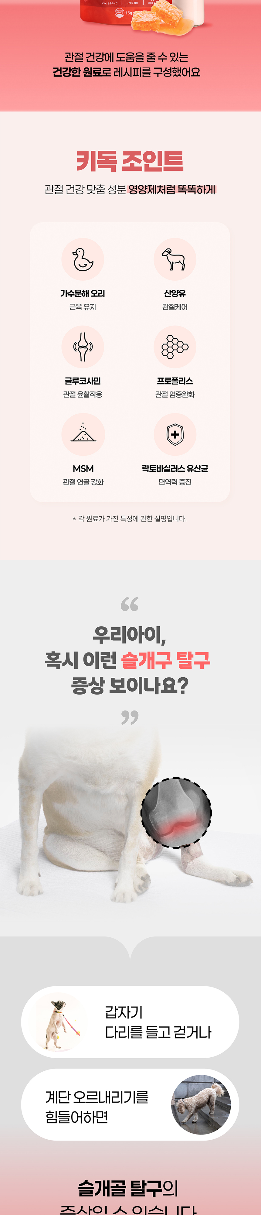 [NEW신상][무료배송] 온날 키독 덴탈껌 조인트 240g 3번째