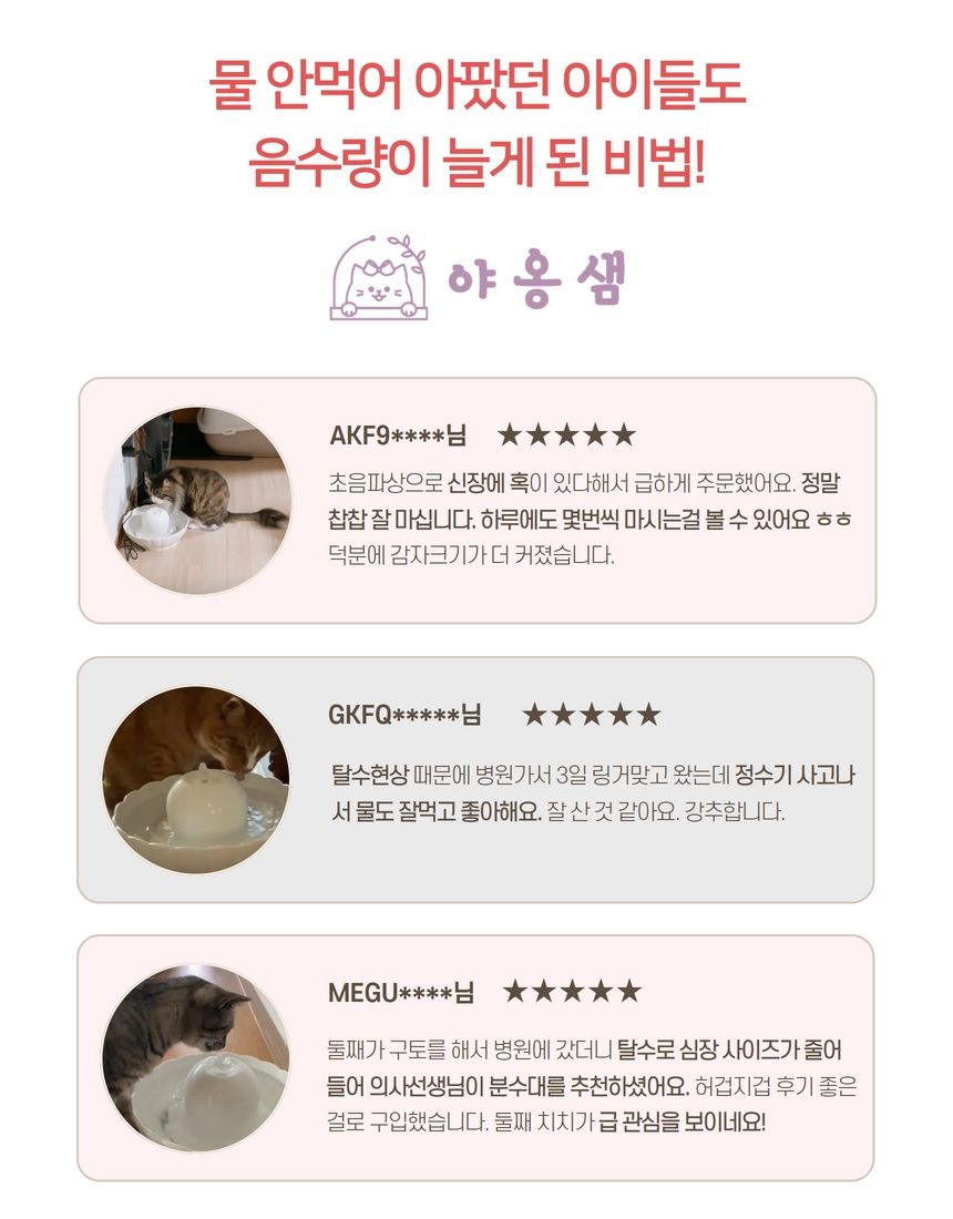 [무료배송] 야옹샘 도자기 정수기 21번째
