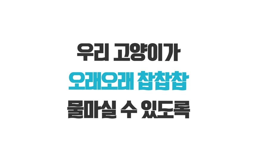 [무료배송] 야옹샘 도자기 정수기 4번째
