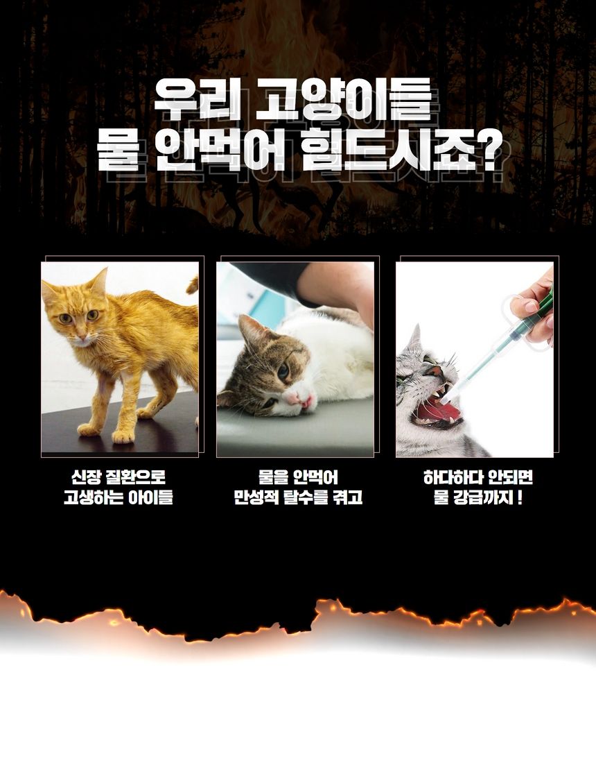 [무료배송] 야옹샘 도자기 정수기 15번째