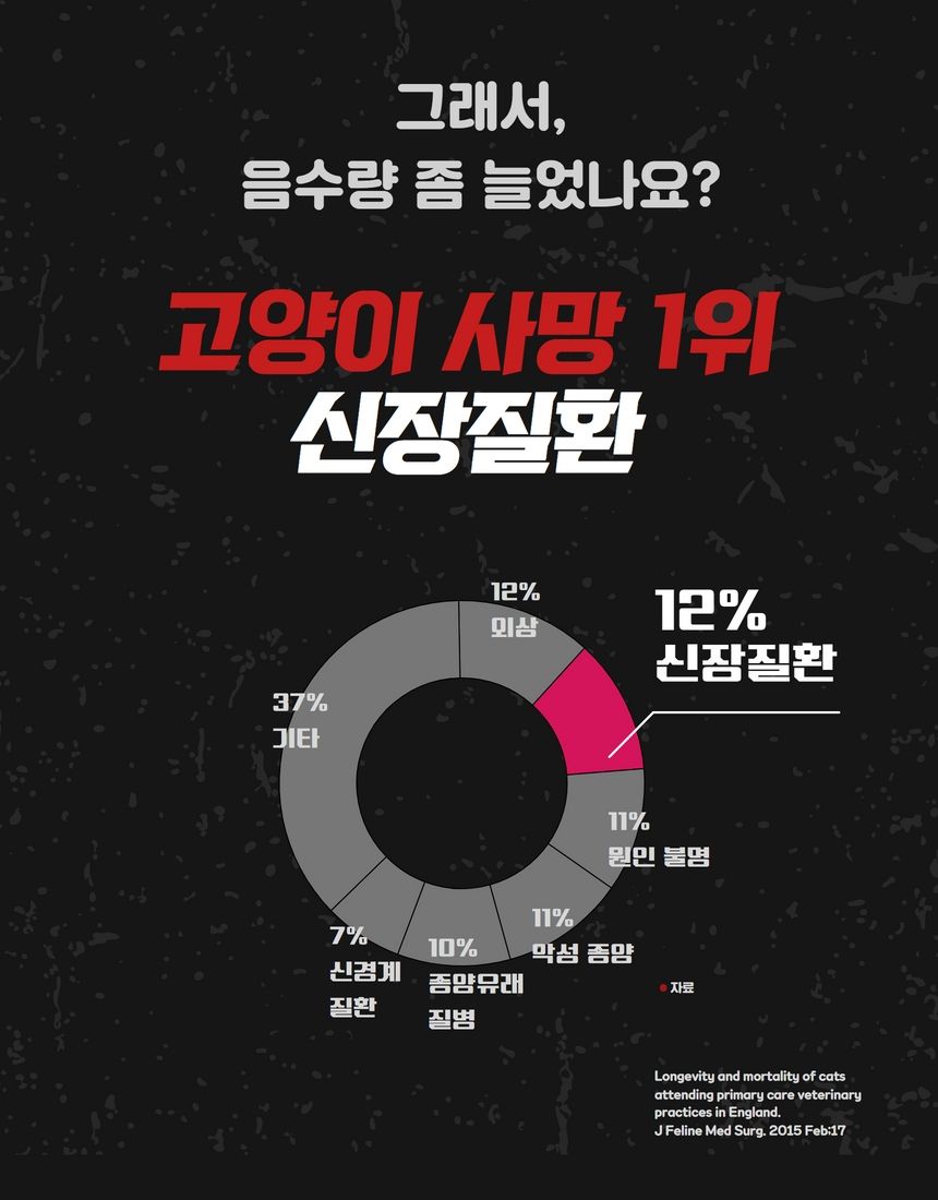 [무료배송] 야옹샘 도자기 정수기 16번째