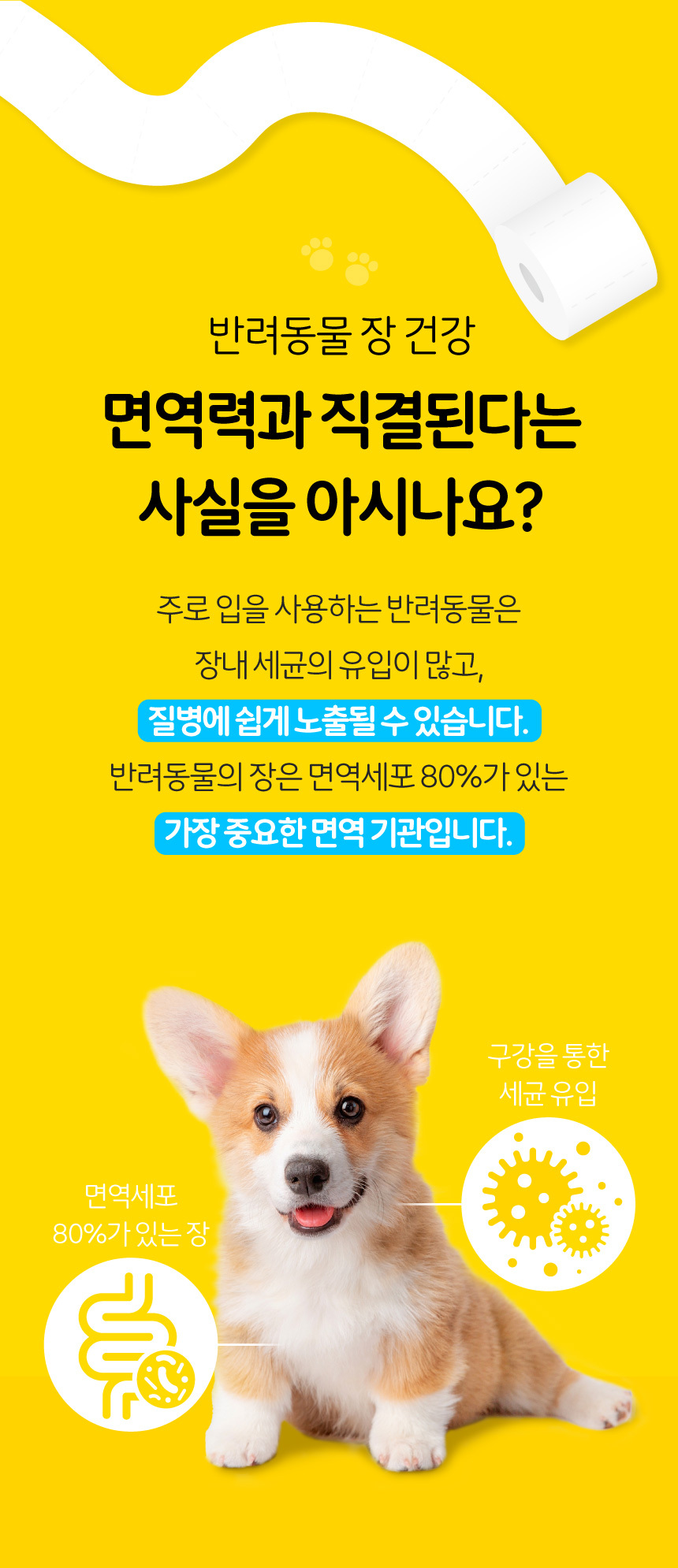 [NEW신상][무료배송] 하코 유산균 펫 30포 1번째