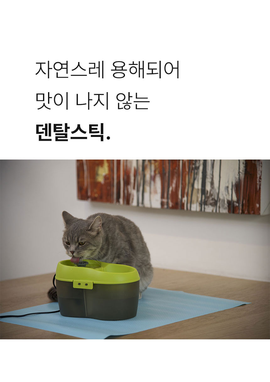 [무료배송] Dogh2o 강아지 고양이 구강케어 자동급수기 정수기 2리터 12번째