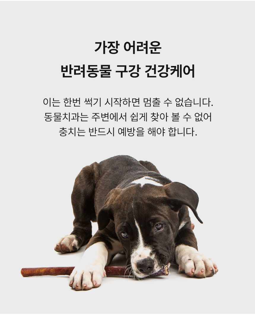 [무료배송] Dogh2o 강아지 고양이 구강케어 자동급수기 정수기 2리터 5번째