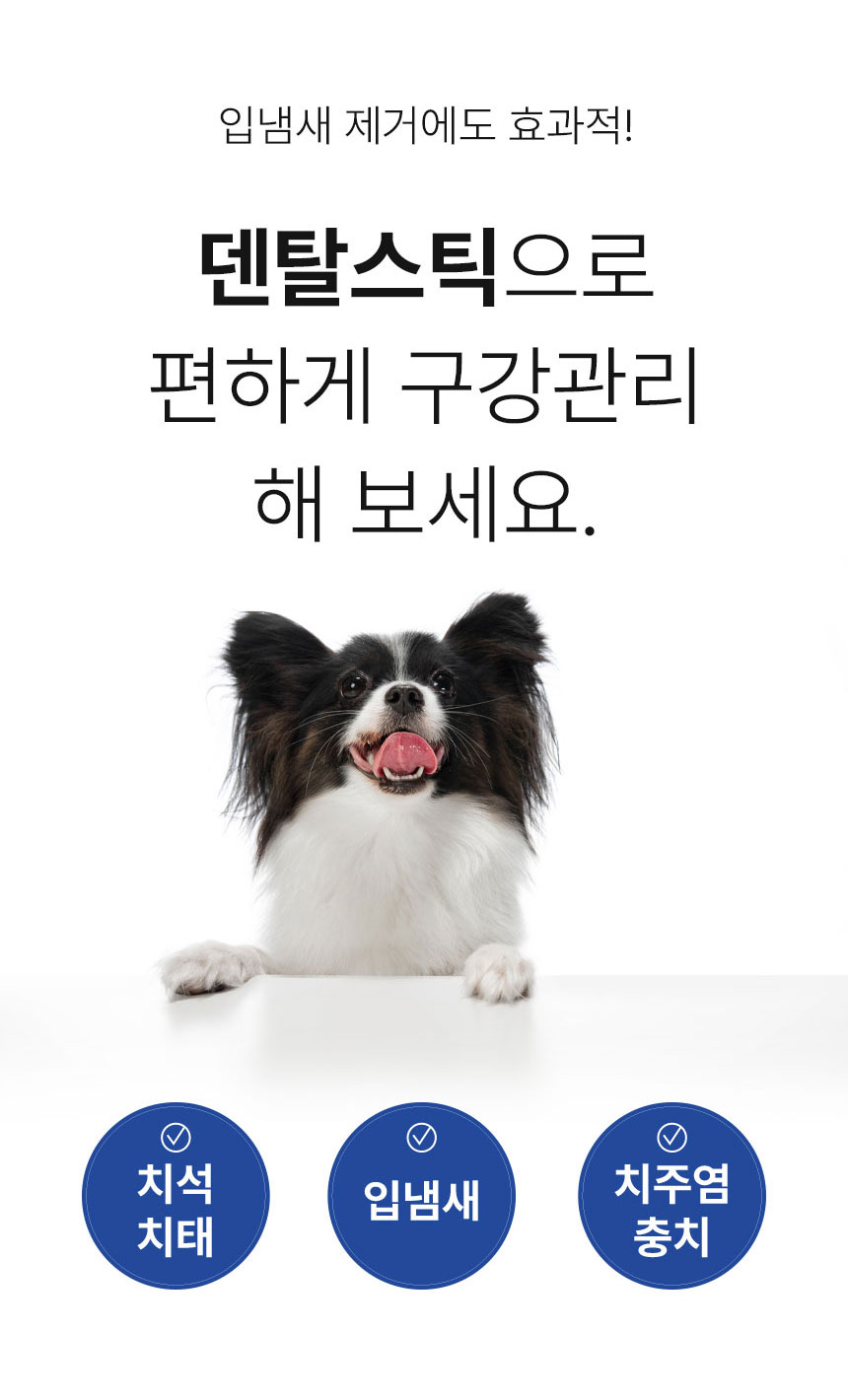 [무료배송] Dogh2o 강아지 고양이 구강케어 자동급수기 정수기 2리터 14번째