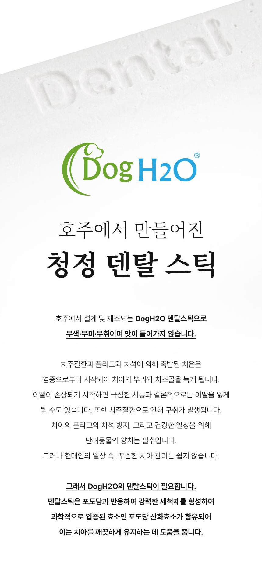 [무료배송] Dogh2o 강아지 고양이 구강케어 자동급수기 정수기 2리터 8번째