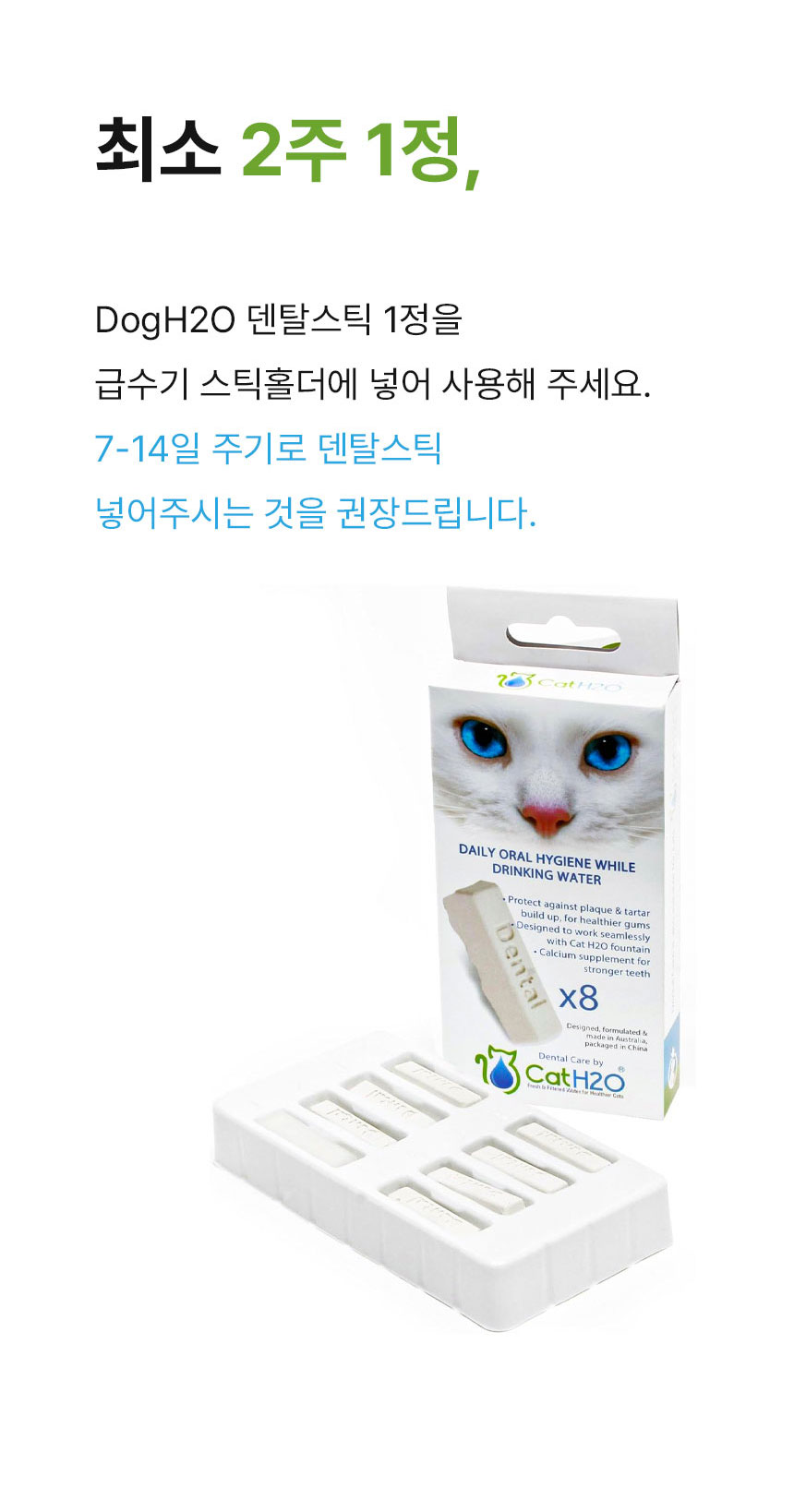 [무료배송] Dogh2o 강아지 고양이 구강케어 자동급수기 정수기 2리터 9번째