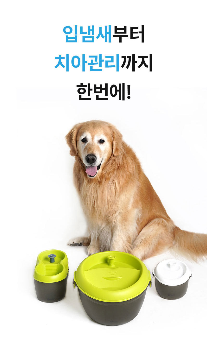 [무료배송] Dogh2o 강아지 고양이 구강케어 자동급수기 정수기 2리터 3번째