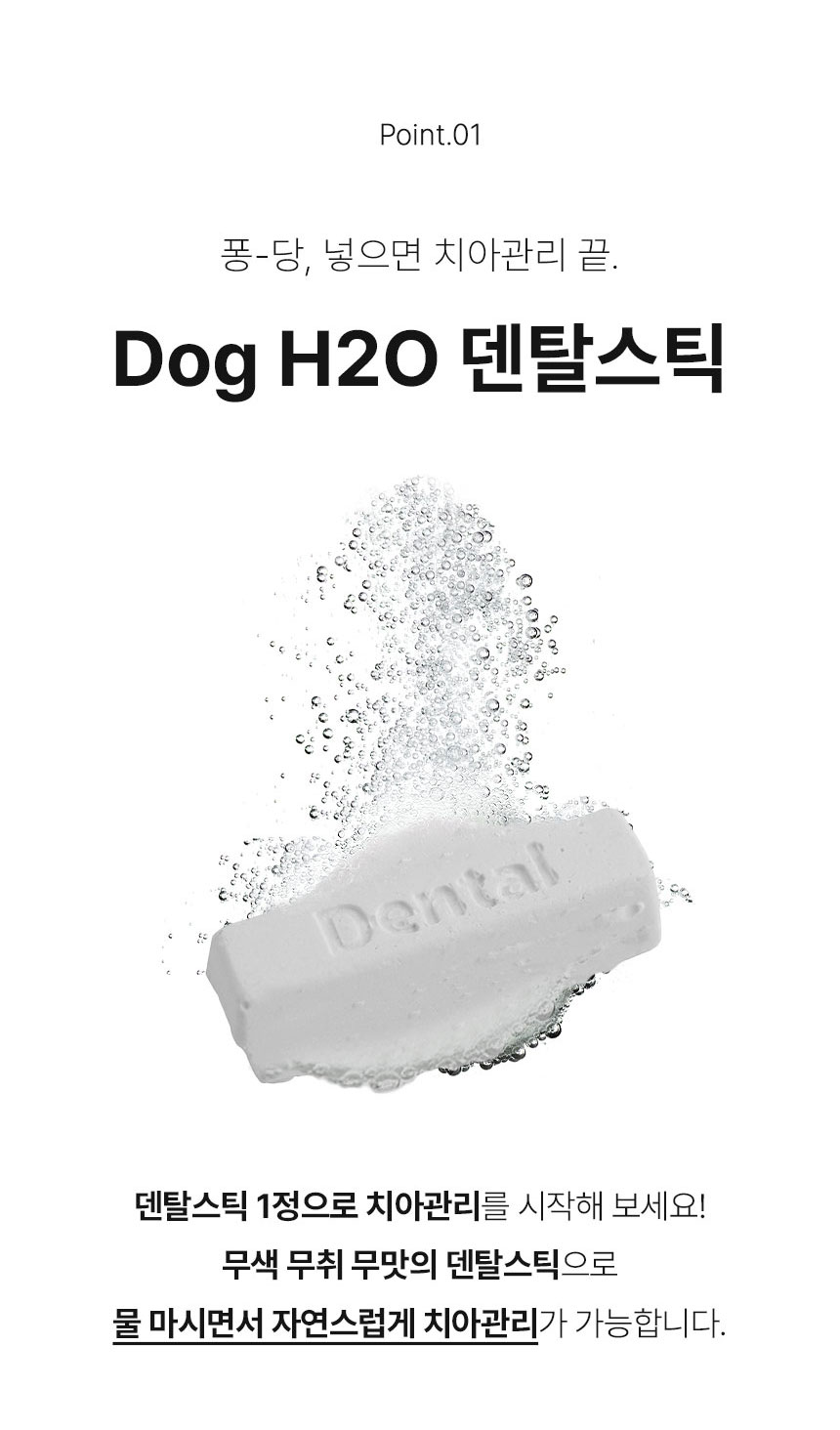 [무료배송] Dogh2o 강아지 고양이 구강케어 자동급수기 정수기 2리터 11번째