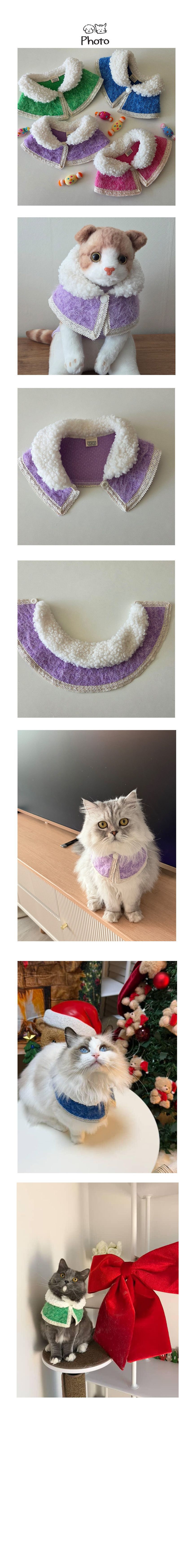 [NEW신상][무료배송] 개달당 반려동물 앙고라 수플레 겨울 케이프 4종 (핑크/퍼플/블루/그린) 2번째