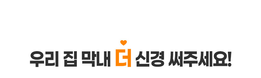[무료배송] 인뮤즈 독 프리미엄 캠핑해먹 블랙/그레이 8번째