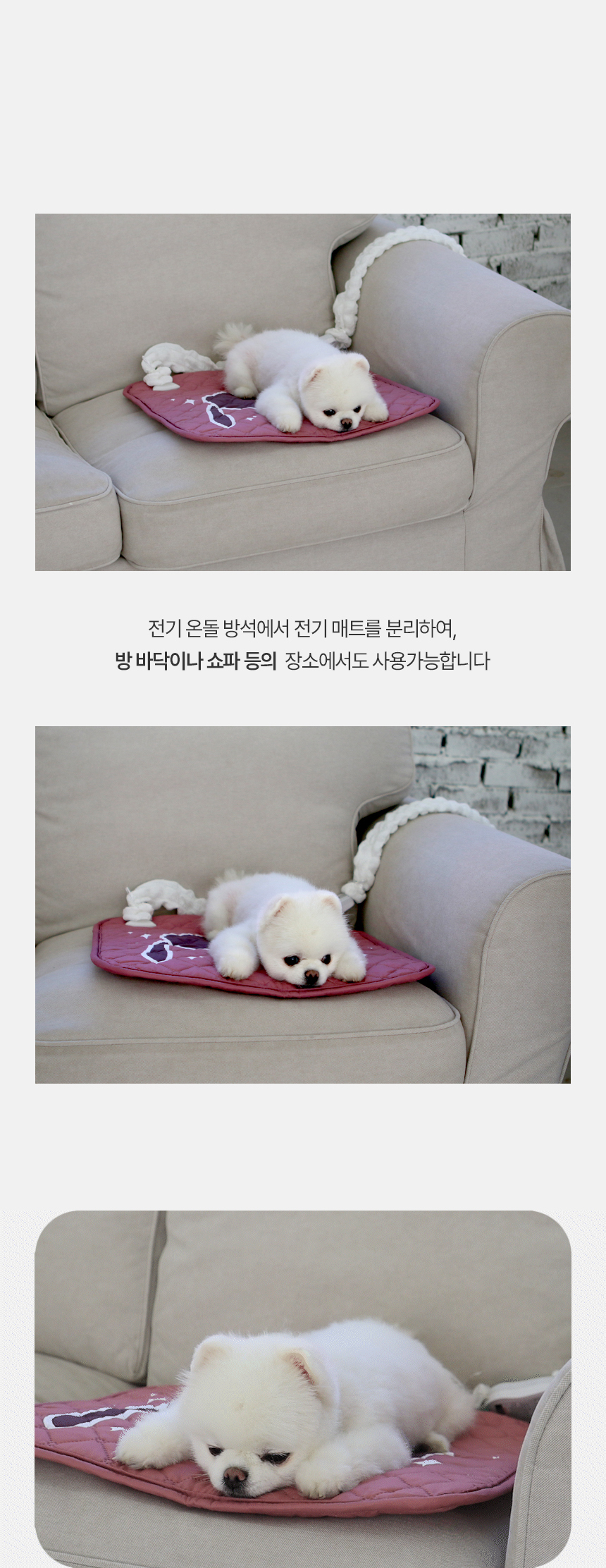 [무료배송] 초코펫하우스 겨울 보온 전기 온돌 방석 11번째