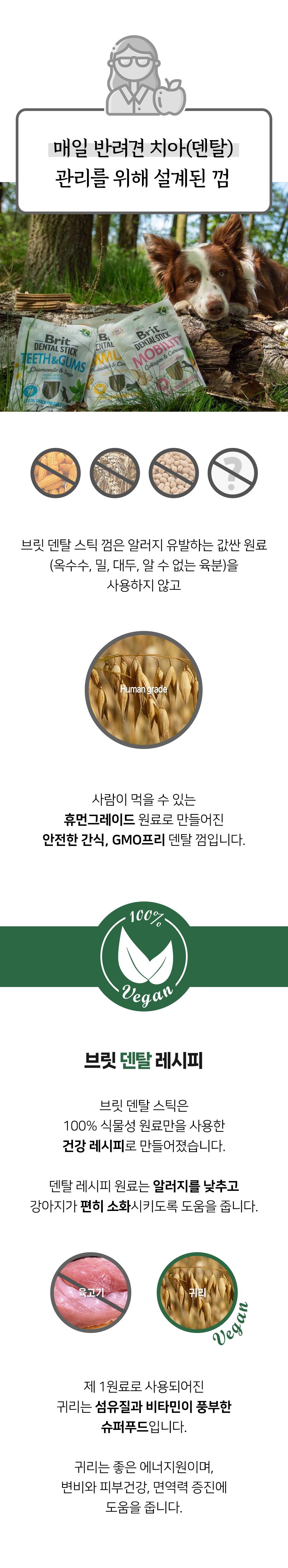 브릿 독 덴탈스틱 관절케어 콜라겐&강황 251g 4번째