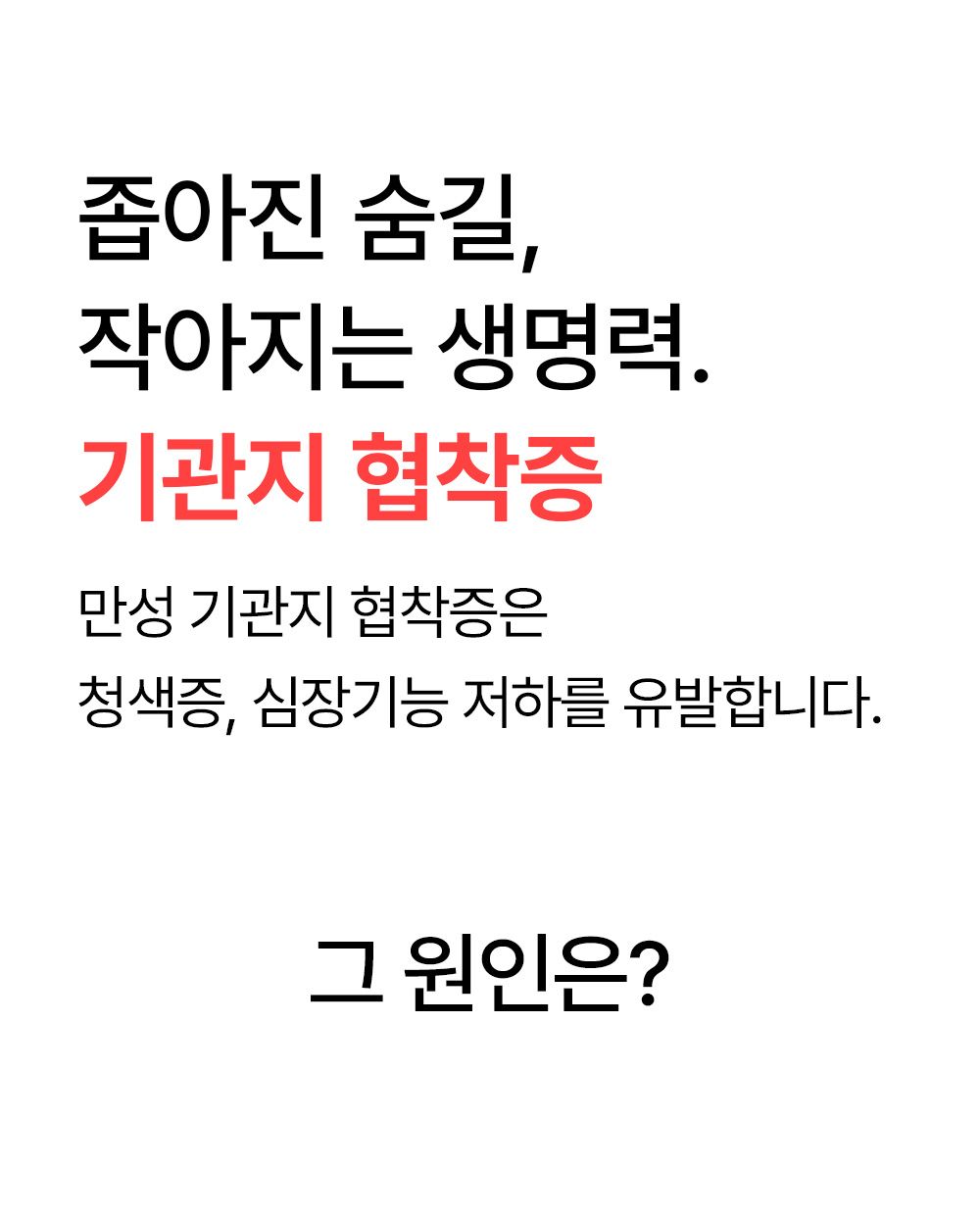 [NEW신상]더헬씨 강아지 영양제 브리즈 기관지 100g 4번째