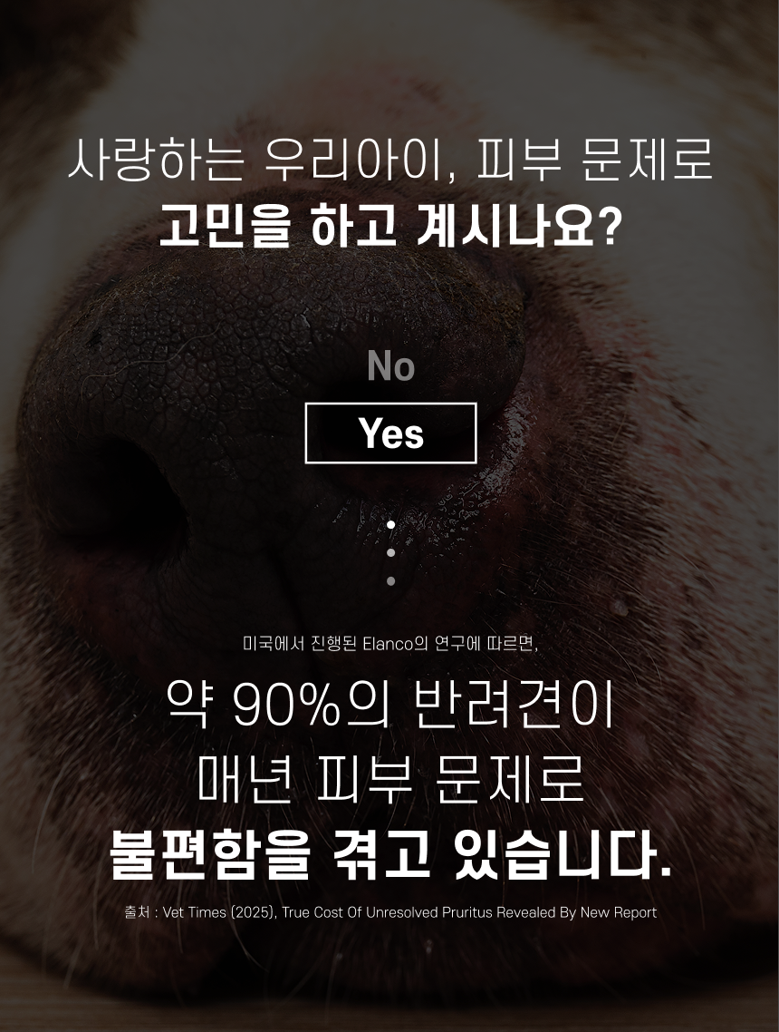 [NEW신상][무료배송] 펫트니스 호호 멀티케어 연고 15g 2번째