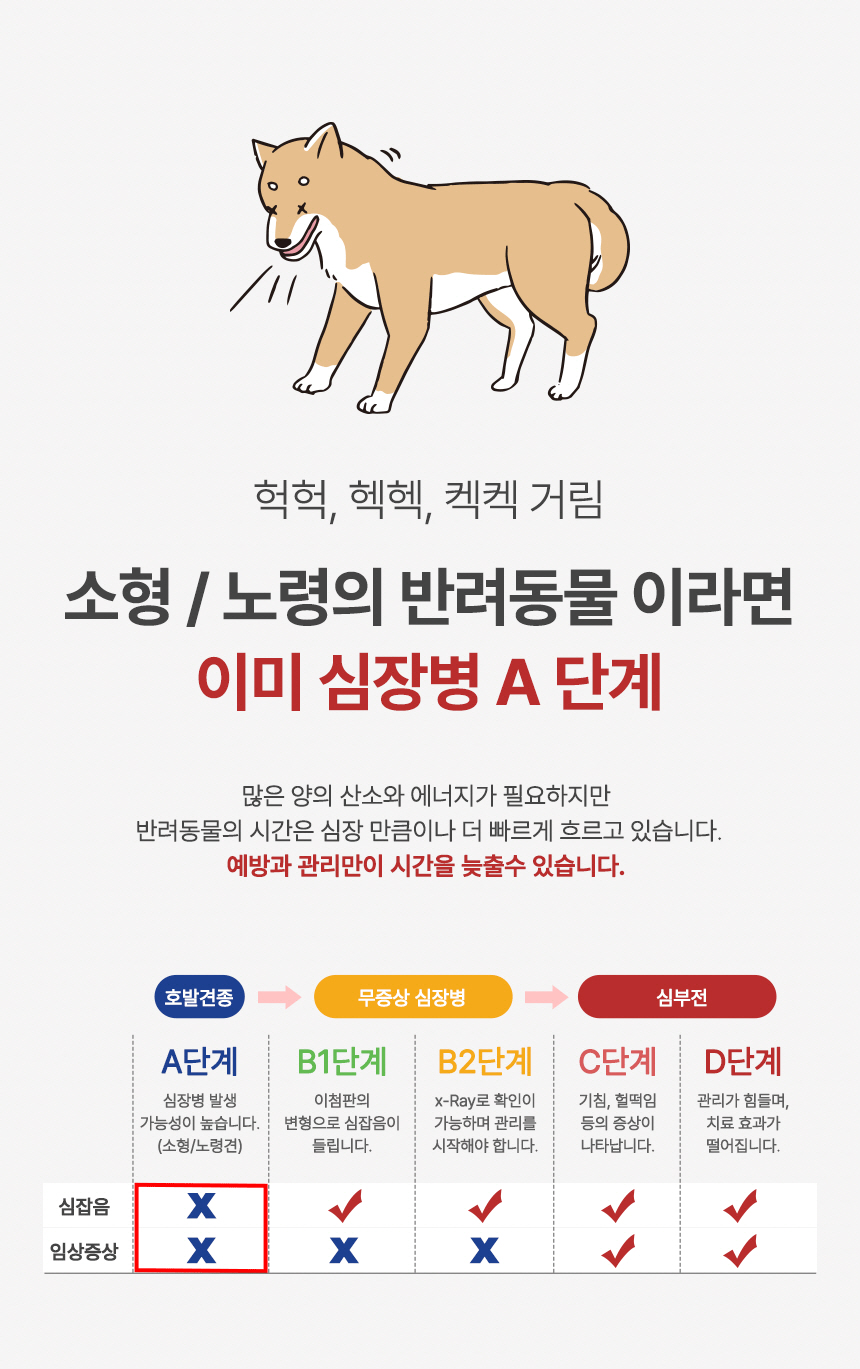 [무료배송] 옵티펫츄어블 카디 강아지심장영양제 고양이심장영양제 120g 2번째