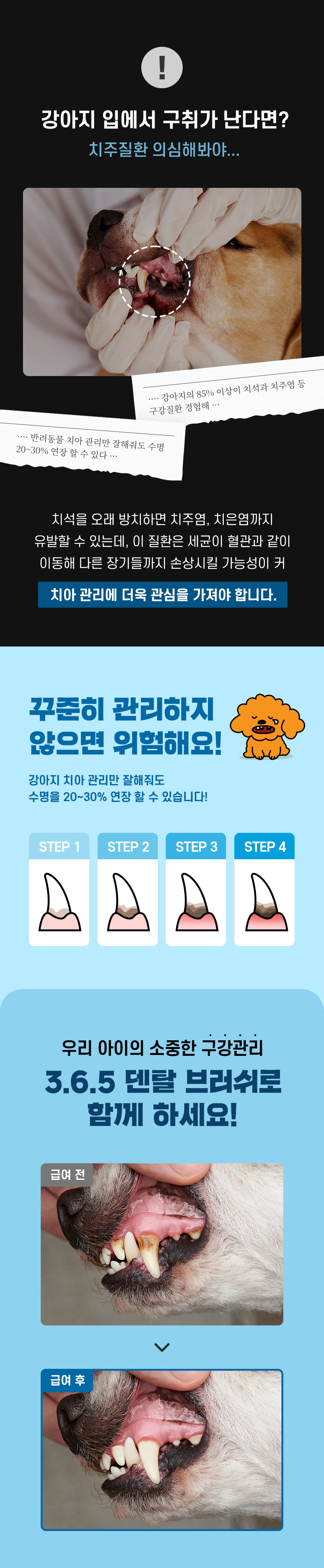 [심쿵펫페어][무료배송] 데이스포 독 와이즈 3.6.5 덴탈케어 브러쉬 관절건강 240g 20개입 7번째