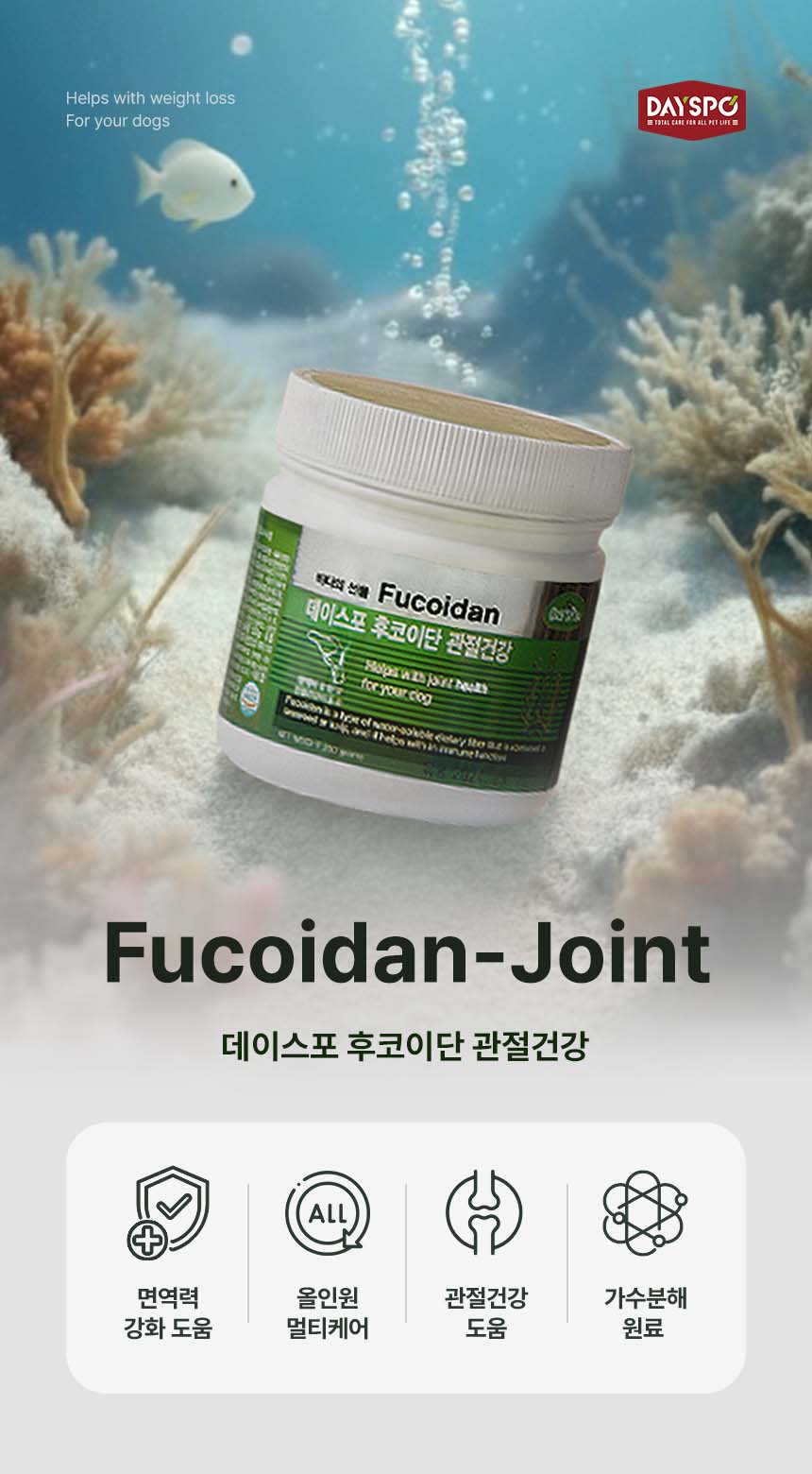 [무료배송] 데이스포 후코이단 관절영양제 250g 5번째