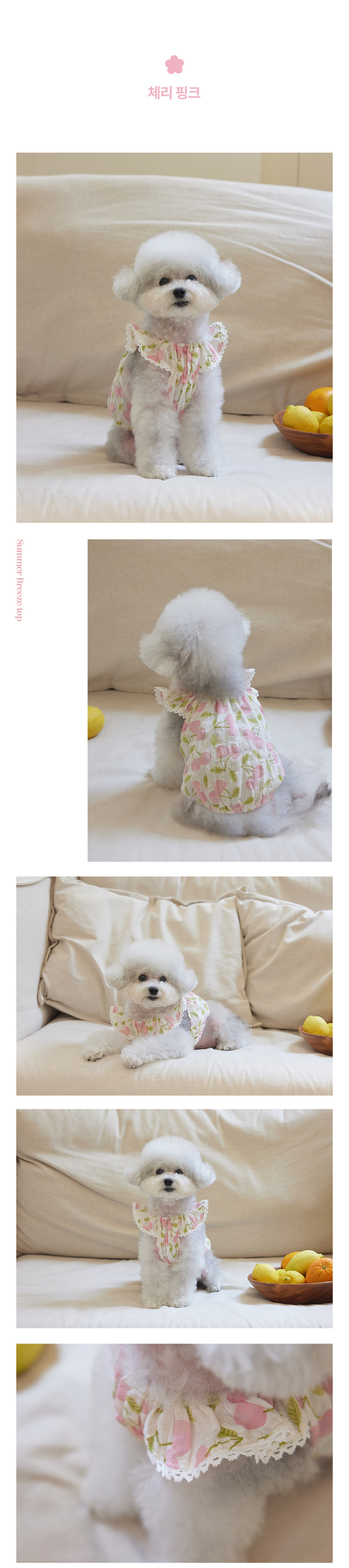 [무료배송] 꼬뗀느 썸머 브리즈 탑 체리핑크/코스모스레드 S-XL 4번째