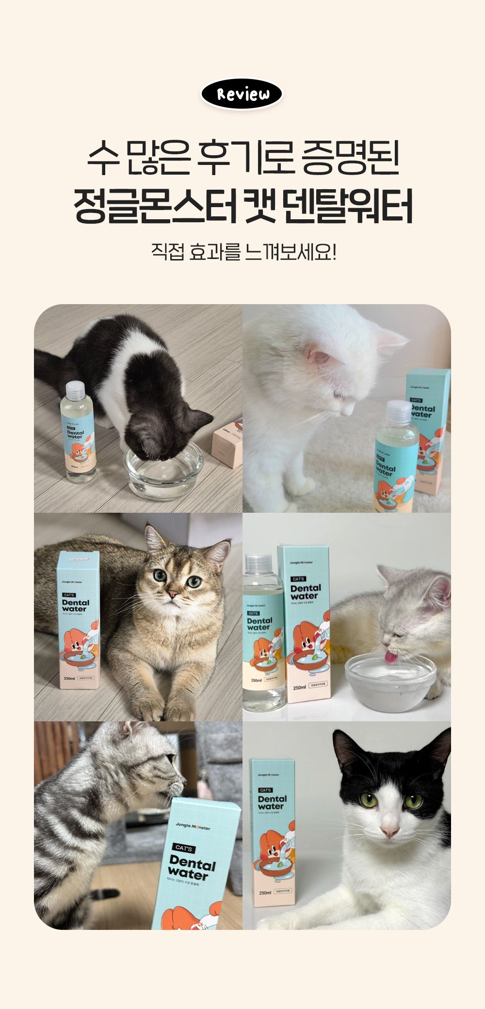 정글몬스터 캣 덴탈워터 250ml 16번째