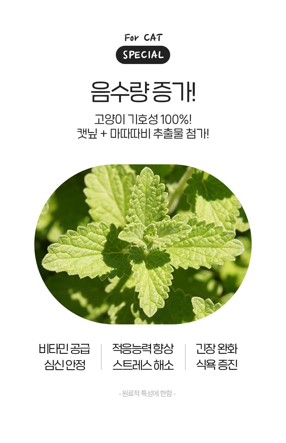정글몬스터 캣 덴탈워터 250ml 13번째