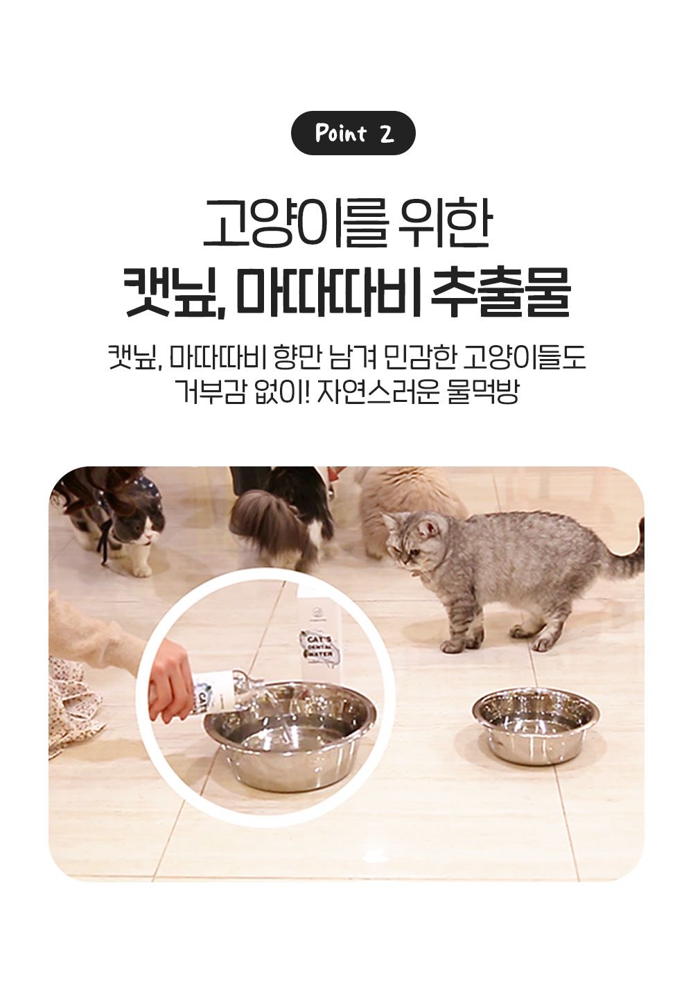 정글몬스터 캣 덴탈워터 250ml 9번째