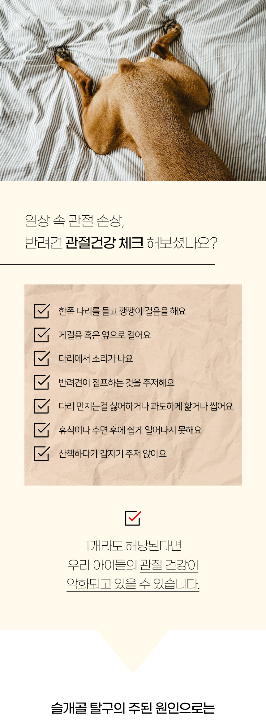 [NEW신상][무료배송] 개과천선 독 레더 펫스텝 (아이보리/베이지/블랙 그레이) 4번째