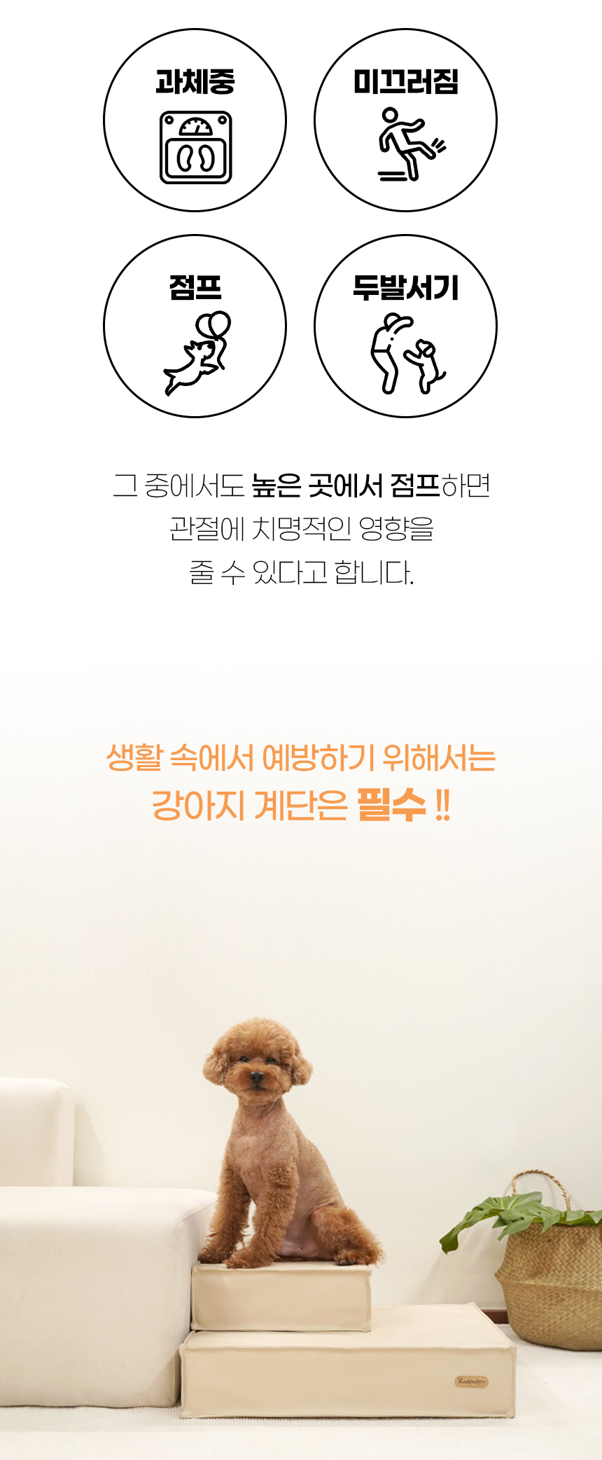 [NEW신상][무료배송] 개과천선 독 레더 펫스텝 (아이보리/베이지/블랙 그레이) 5번째