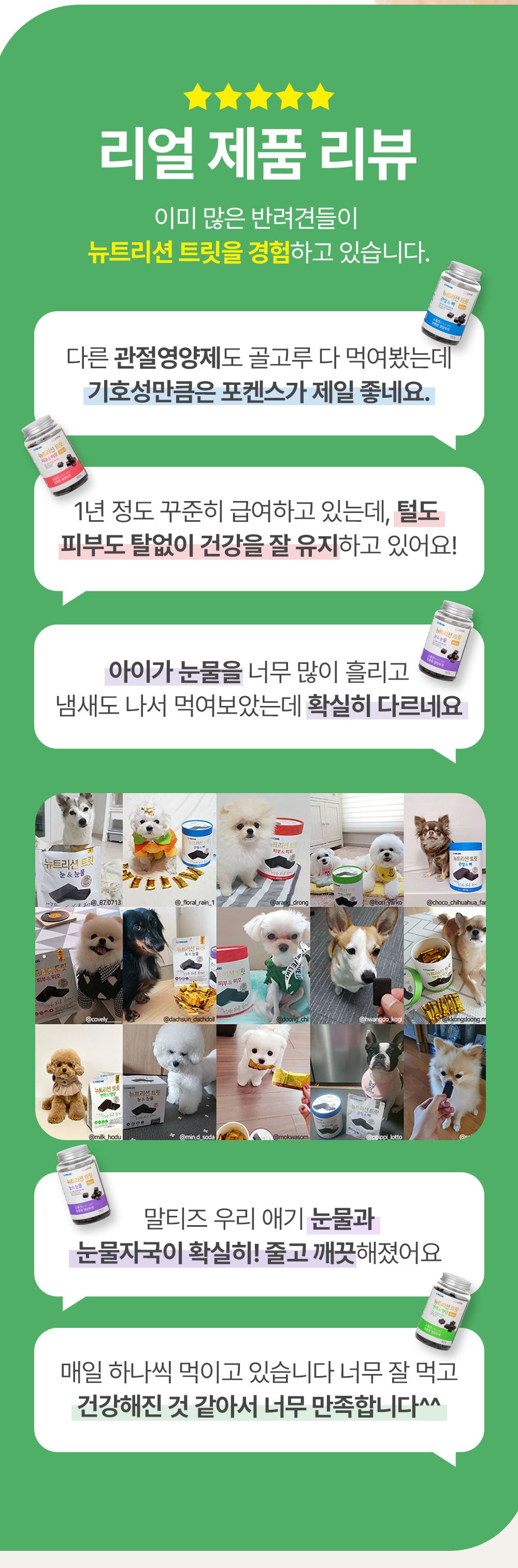 포켄스 독 NEW 뉴트리션 트릿 미니 눈&눈물 168g 8번째