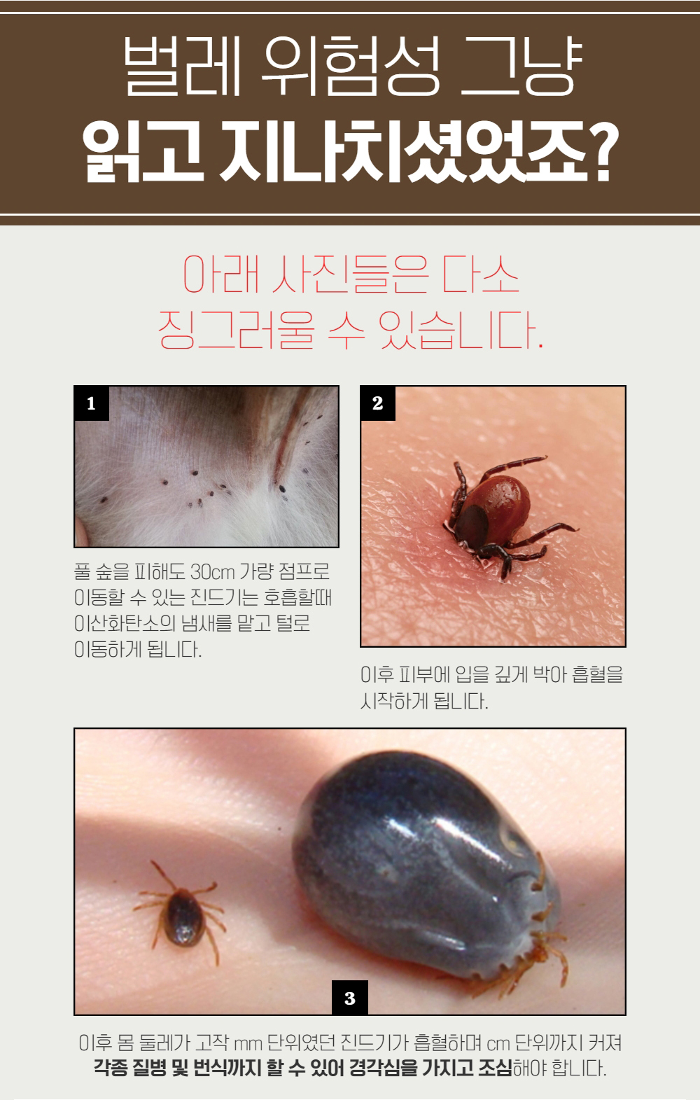 [무료배송] 아띠지기 천연성분 해충방지 퇴치제 60ml/500ml 2번째