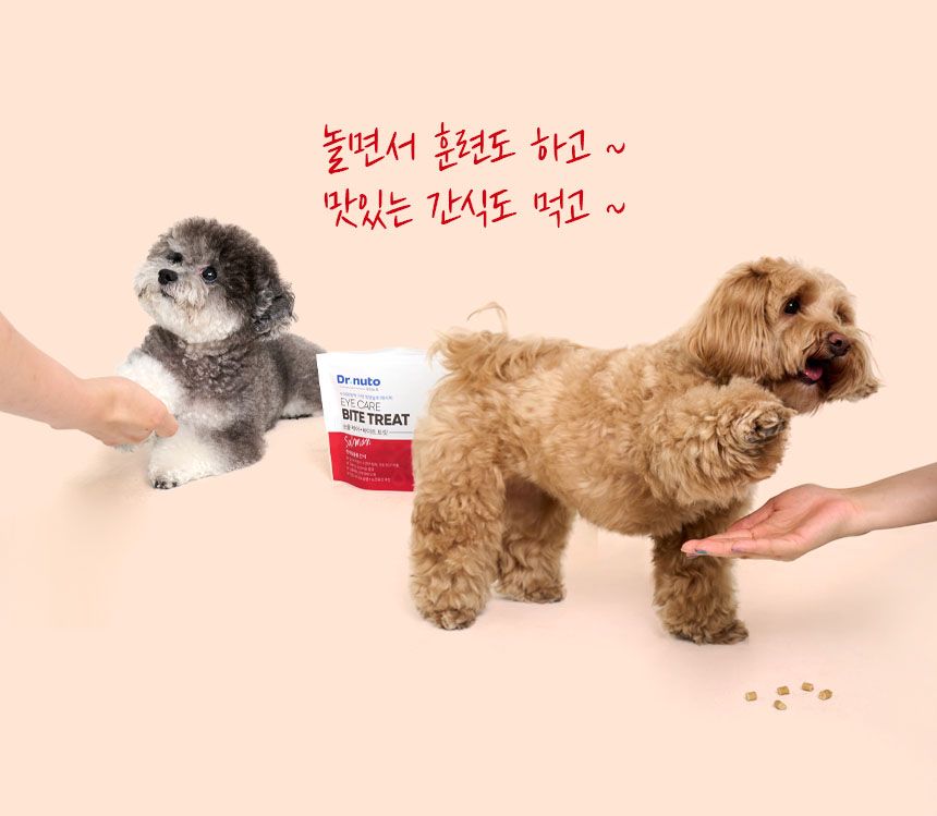 [유통기한임박, 24년12월13일] 닥터뉴토 독 눈물케어 바이트 트릿 연어 80g 14번째