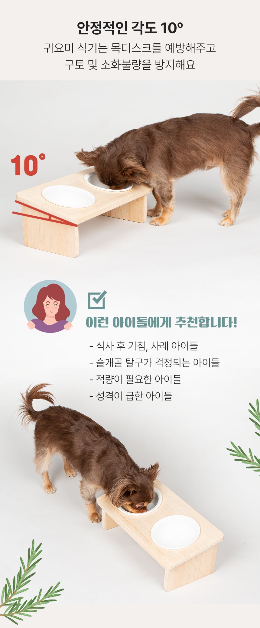 [무료배송] 초코펫하우스 베이직 2구 식기 15번째