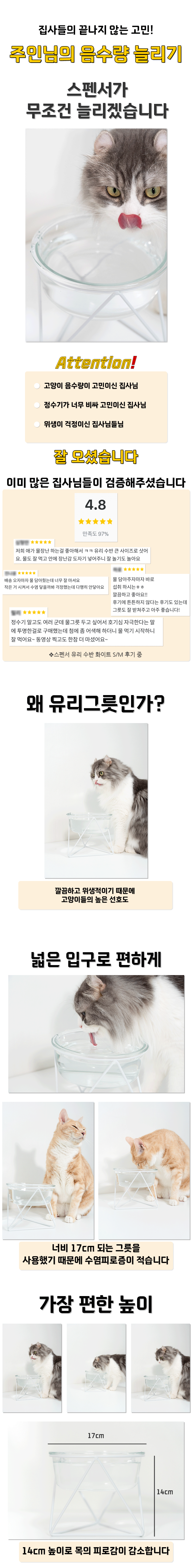 스펜서 화이트 유리 수반 H14 1번째