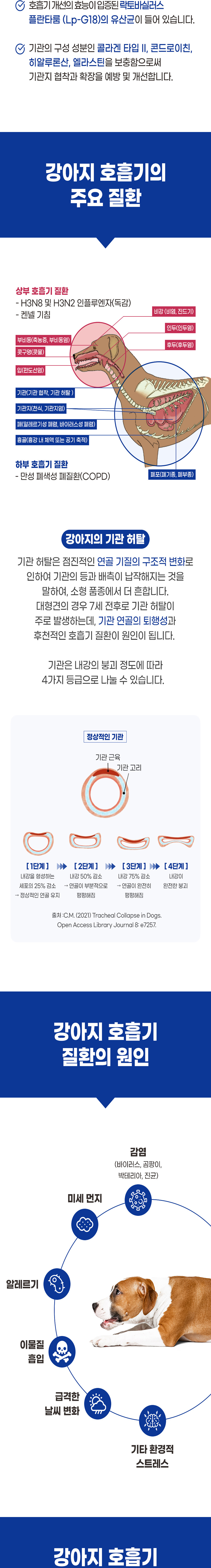 [무료배송] [2+1] 브랜바인 강아지 레스피라토리 가디언 기관지영양제 비염 축농증 기침 90일분 4번째