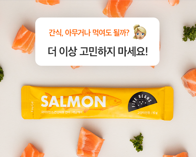 [무료배송] 파이브빈스 건강하쮸 연어 10g*14ea 5번째