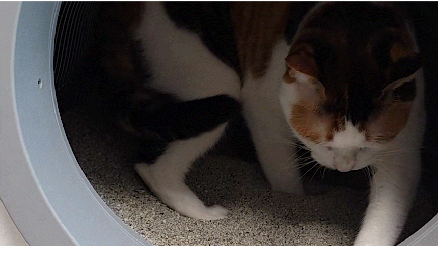 [NEW신상][무료배송] 애구애구 루봇맥스 자동화장실 대형 Wifi 스마트 앱제어 18번째