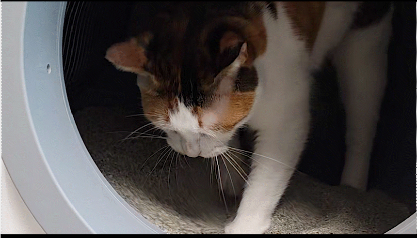 [NEW신상][무료배송] 애구애구 루봇맥스 자동화장실 대형 Wifi 스마트 앱제어 27번째