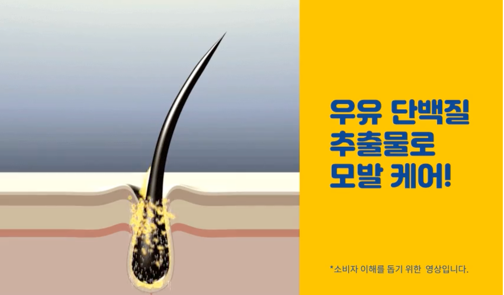 [무료배송] 페스룸 독 버블 샴푸  300ml 7번째