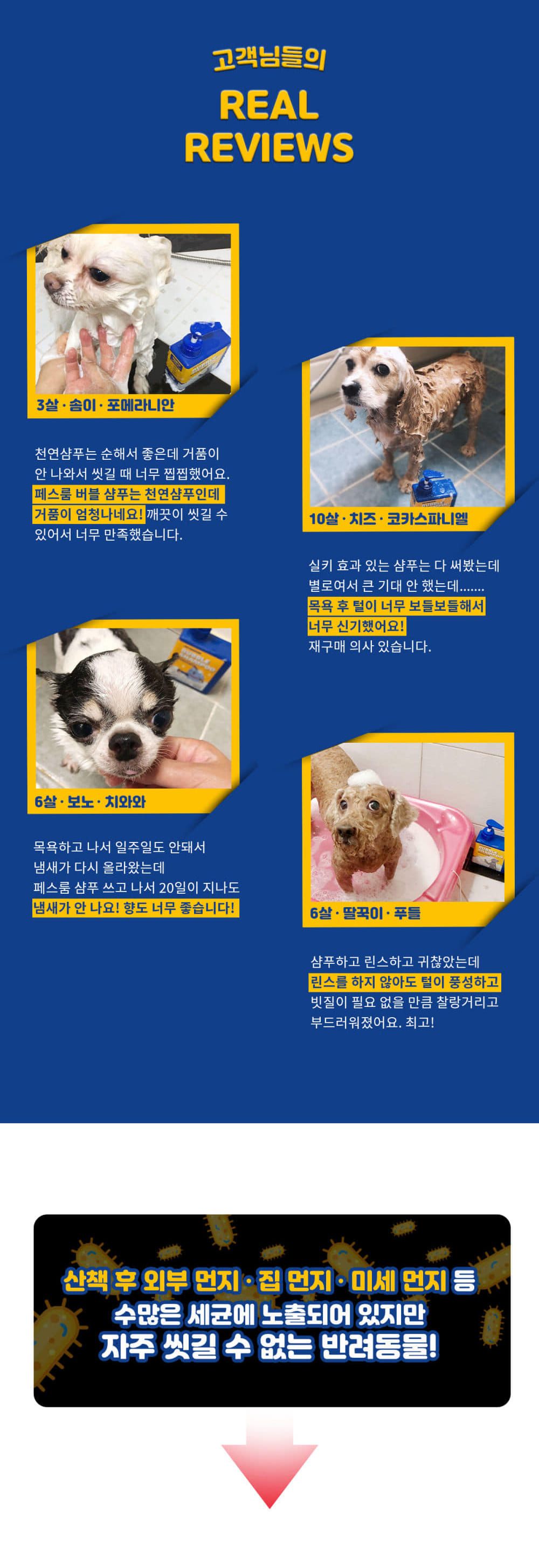 [무료배송] 페스룸 독 버블 샴푸  300ml 2번째
