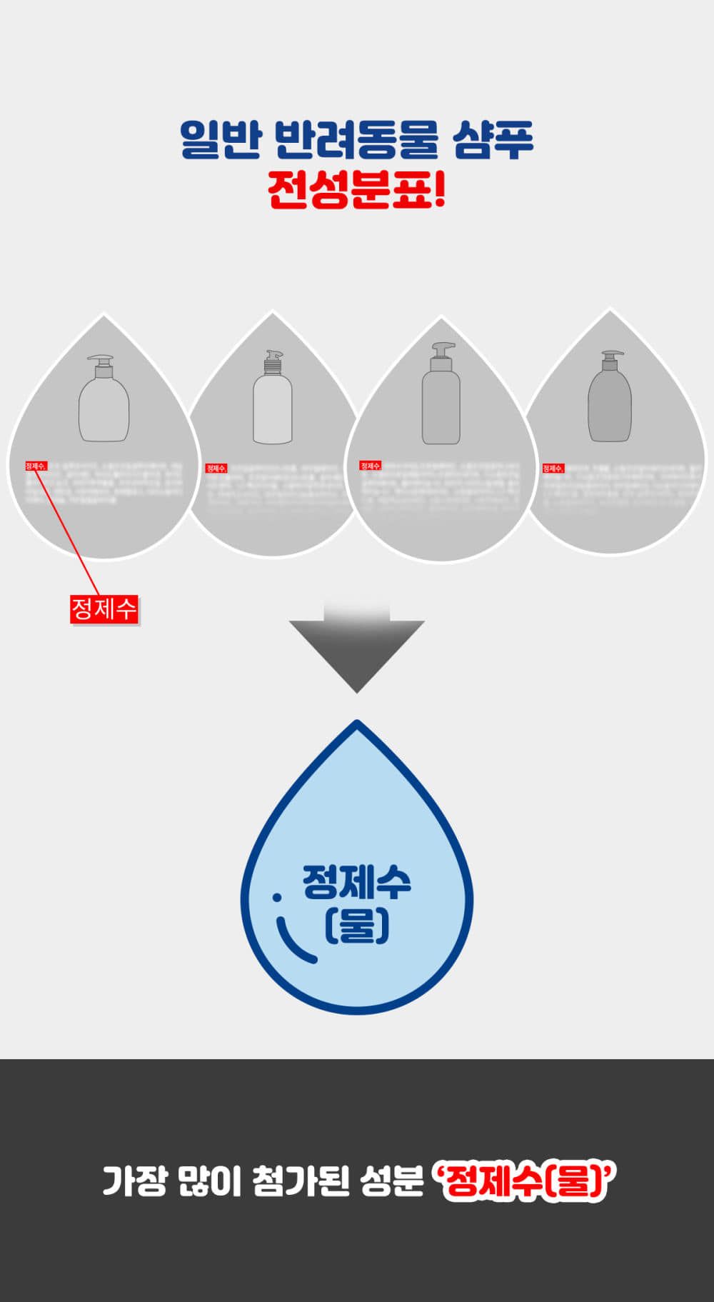 [무료배송] 페스룸 독 버블 샴푸  300ml 9번째