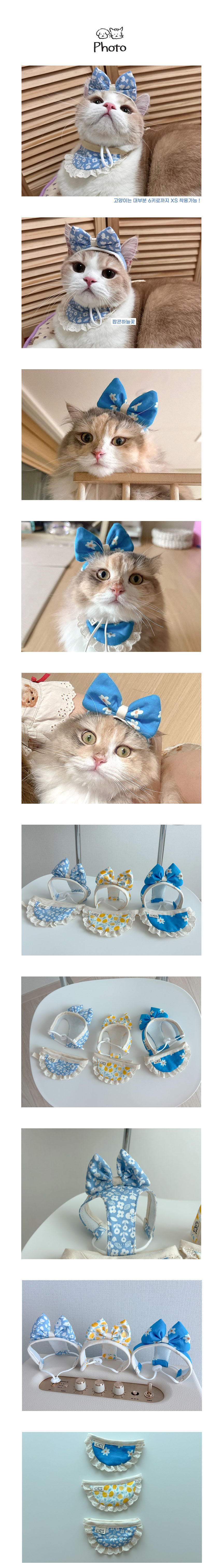 [무료배송] 개달당 모델냥 리본 모자 턱받이 2종 SET 3colors 팝콘하늘꽃/블루데이지/감귤 2번째