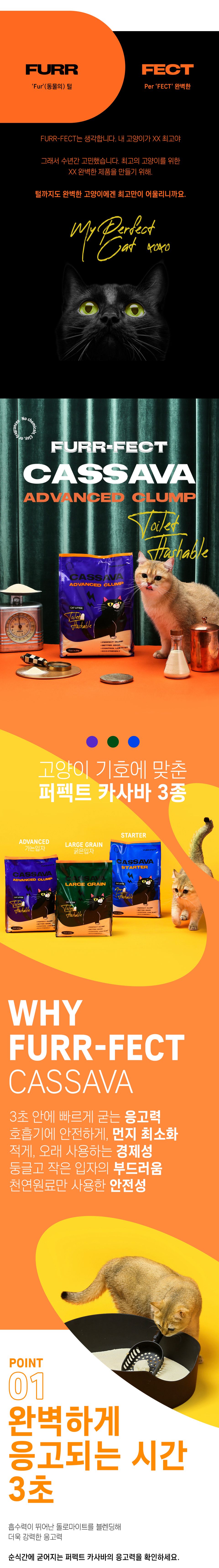 샌드바이블 무향 6kg + 퍼펙트 카사바 어드밴스드 클럼프 4.54kg 2번째