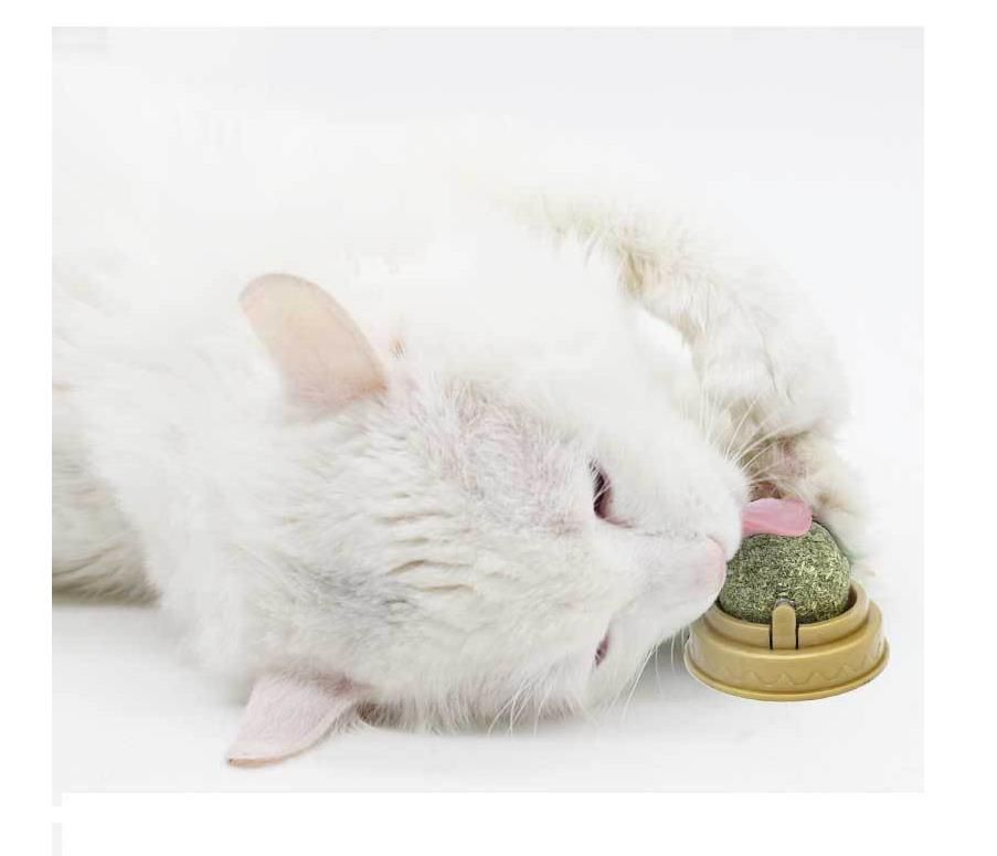네이처펫 냥냥이 롤링 캣닢볼 1번