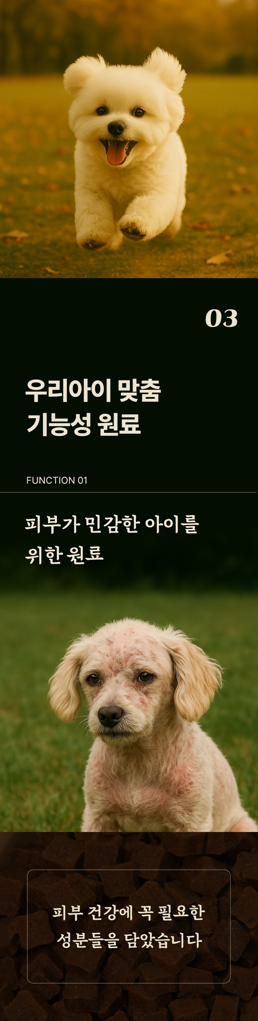 [무료배송] 데이스포 독 명품수제사료 녹황색식단 1kg 11번째